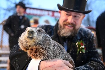 El Día de la Marmota es de gran relevancia en EEUU, por lo que otros estados cuentan con su propio "roedor oráculo". (REUTERS/Alan Freed)