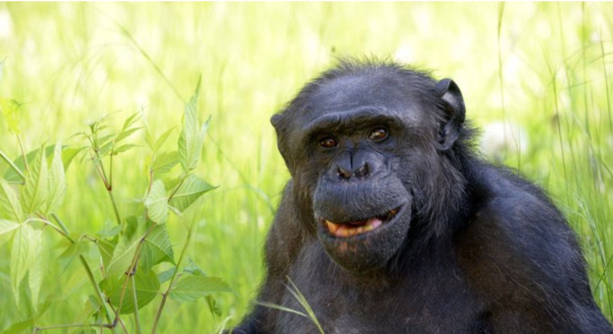 Tomy había llegado a la ciudad con tres años y medio (Fotos: AGLP)