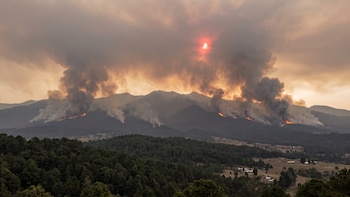 Los riesgos de los incendios forestales en Colombia: expertos explican las consecuencias para la calidad del aire, el suelo y la vegetación