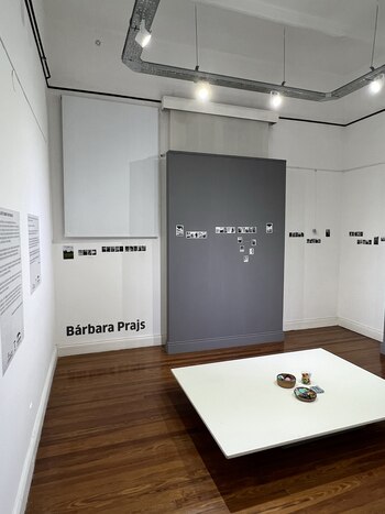 La exhibición "Pasares" es un