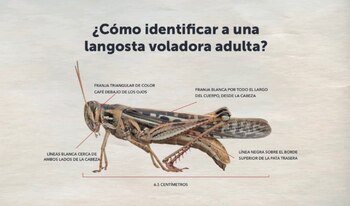 (Foto: Twitter Pablo Salvador Anliker