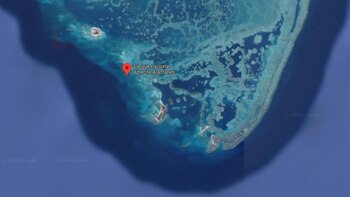 Se cree que muchos de