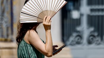 Los datos indican que los