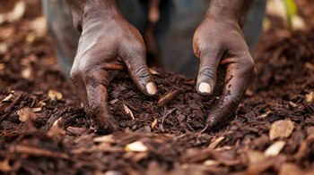 (Imagen Ilustrativa Infobae)