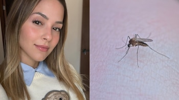 ¿Cuál es el estado de