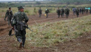 Imagen de referencia - El