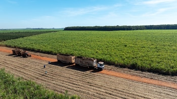 Según datos difundidos por la Asociación Brasileña de Operadores Logísticos, el 94% de los operadores trabaja con transporte carretero, mientras apenas el 31% ofrece servicios multimodales (Foto: Shutterstock)