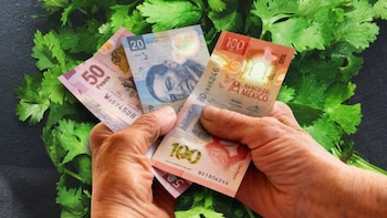 El precio por un manojo