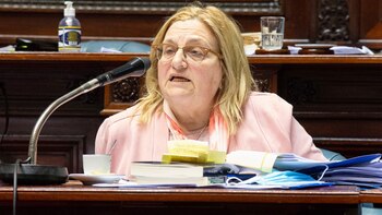 La senadora Graciela Bianchi vuelve