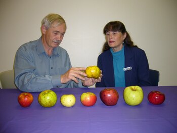 Entre sus hallazgos se destacan