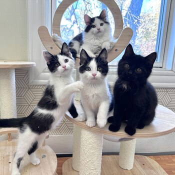 La rescatista explicó que ahora