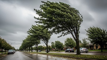 Cuáles son los tres niveles