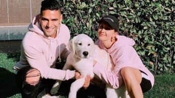 El amor hacía los perros