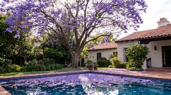 Árbol de jacaranda con flores moradas junto a una casa blanca de tejas rojas y una piscina con flores flotando en el agua.