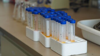 Una nueva tecnología podría algún día eliminar los “productos químicos para siempre” del agua del grifo