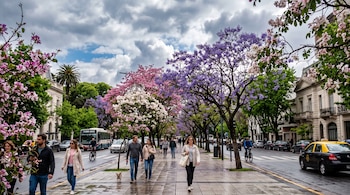 Personas caminan por una acera junto a árboles con flores violetas y rosadas, mientras circulan autos, un autobús y un taxi en la calle.