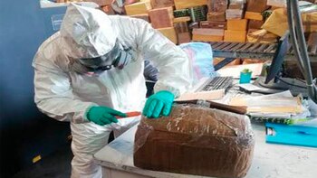 Agente revisando un cargamento de