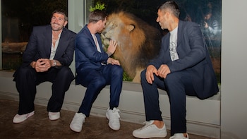 Ni el león se quiso