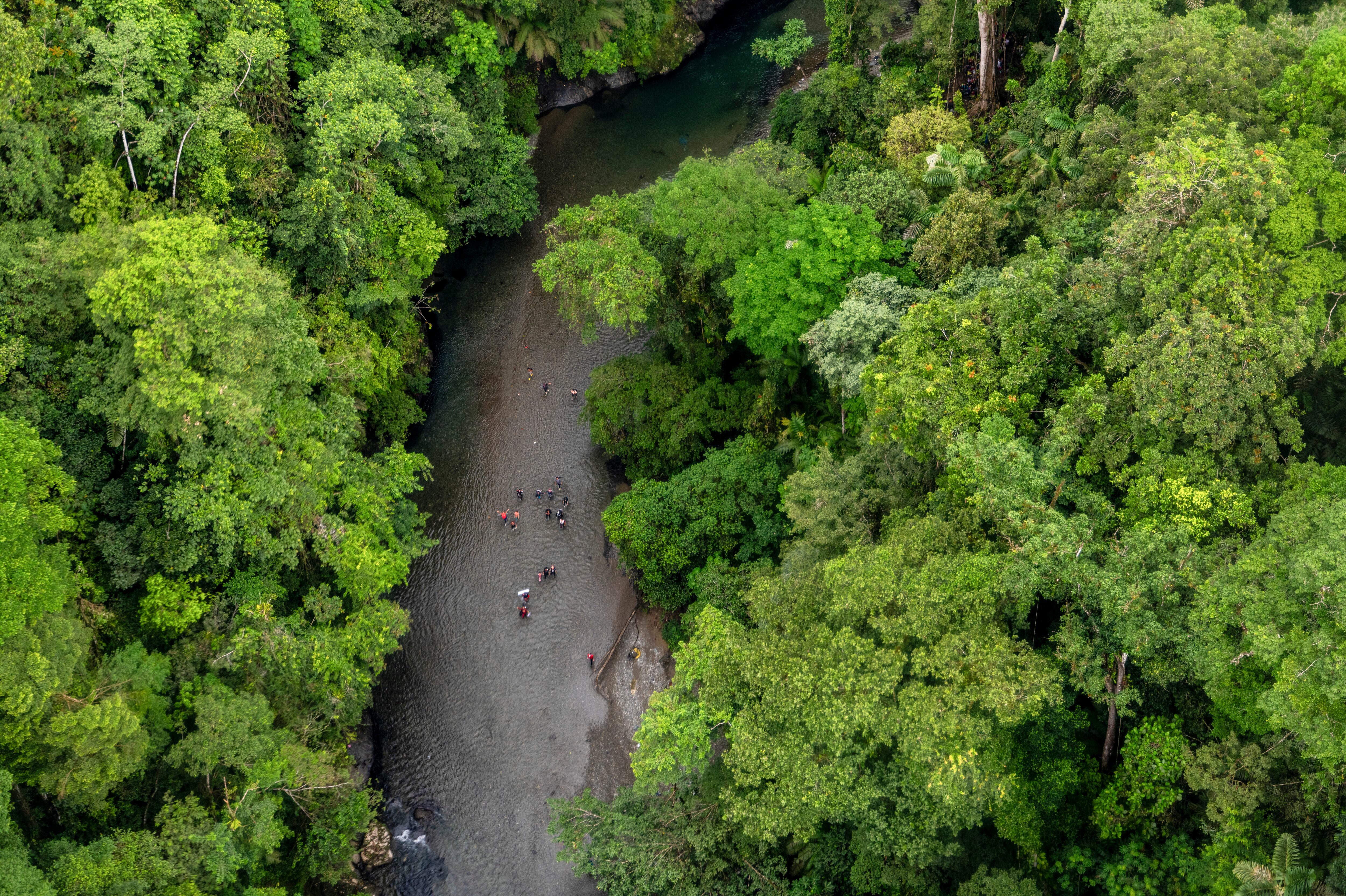 Panamá, Colombia y Estados Unidos buscan combatir la crisis migratoria del Darién - crédito Tnyt