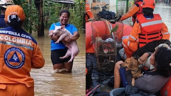 Cerca de 70.000 familias fueron