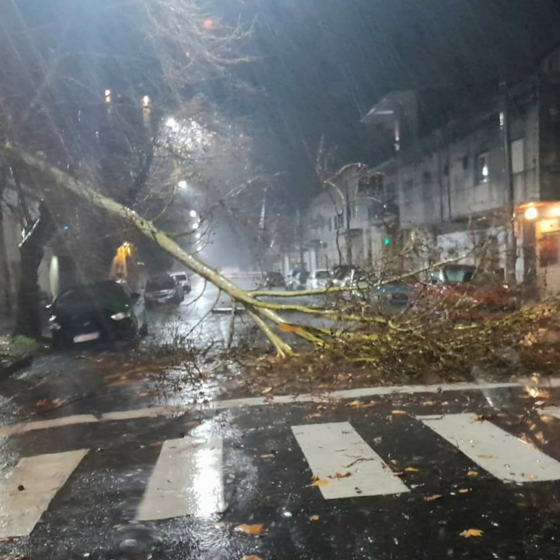 Así quedó el centro de Campana tras el temporal (Facebook: infozc)