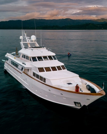 Durante los primeros meses del