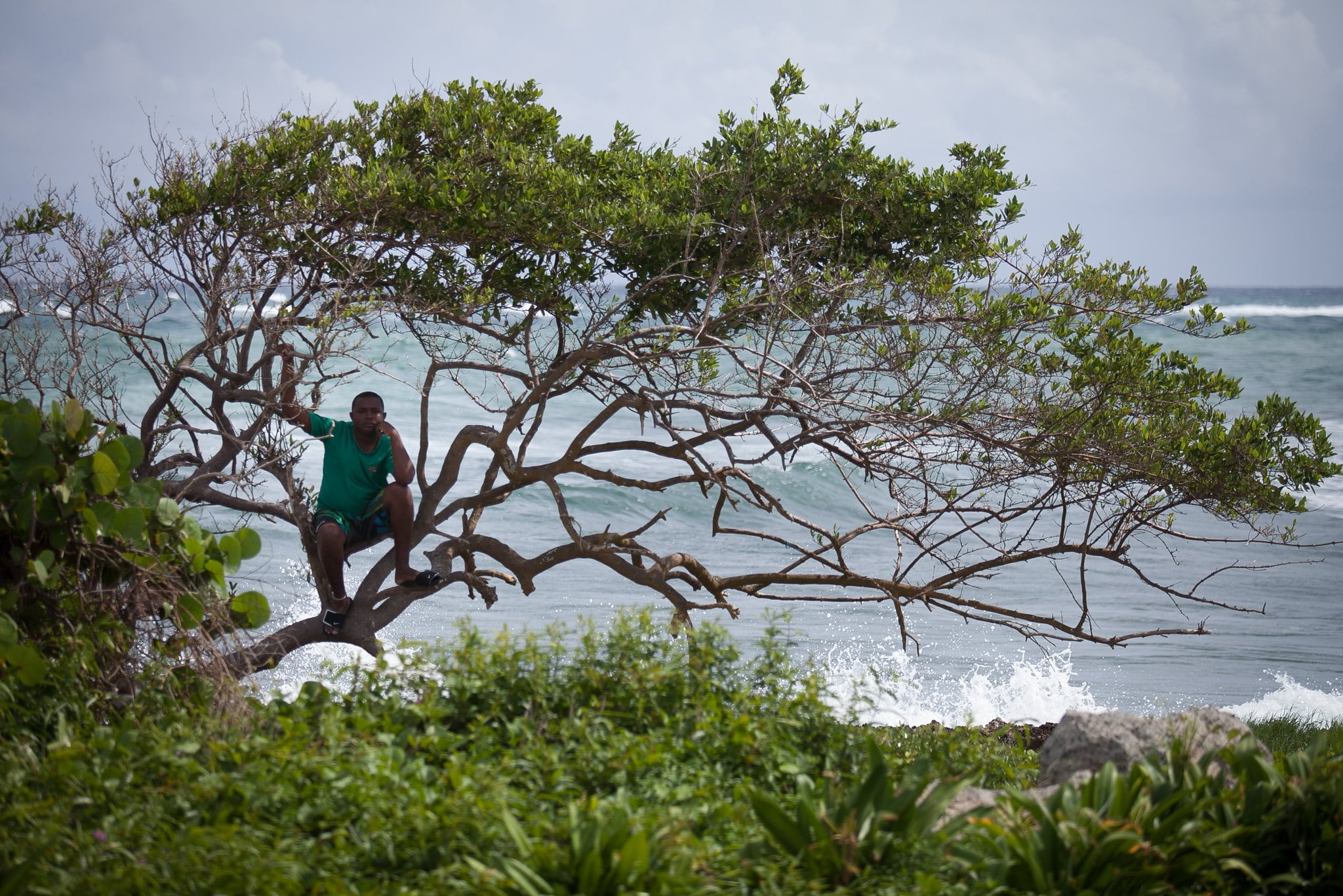 La guía internacional destacó la diversidad ambiental de Providencia y el Tayrona, dos zonas protegidas del norte de Colombia - crédito Emilio Aparicio Rodríguez/Prosperidad Social