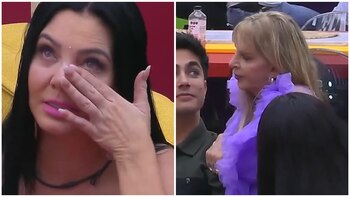 (La Casa de los Famosos