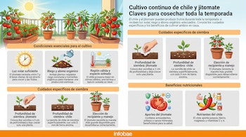 Infografía con ilustraciones de plantas de chile y jitomate en macetas, sol, regadera, termómetro, una mano sembrando semillas y cuadros de nutrientes.