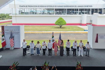 Inauguración de planta productora de moscas estériles en Chiapas