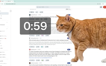 El sistema registra el tiempo activo en redes sociales y despliega un gato gigante cuando se alcanza el límite establecido por el usuario. (Foto: Google Chrome)