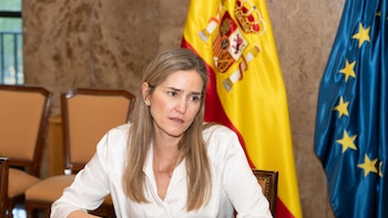 El Gobierno incluirá incentivos al