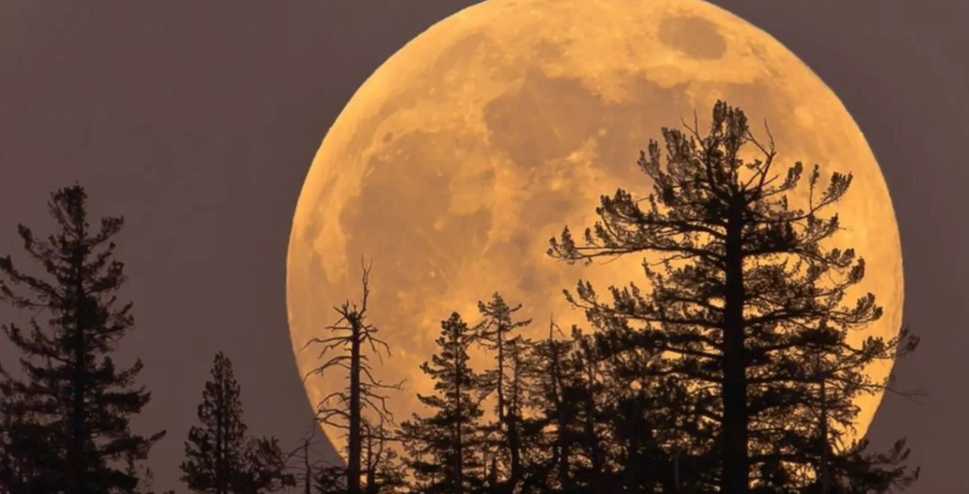 La Luna llena de agosto se conoce como Luna de Esturión, un nombre de origen cultural vinculado a la pesca de esa especie en los Grandes Lagos - (StarWalk)