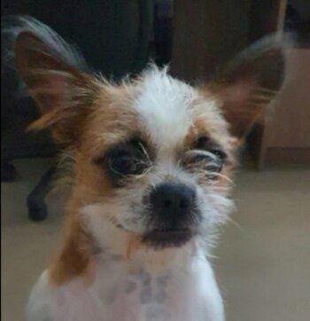 El aspecto de Pandora cambió