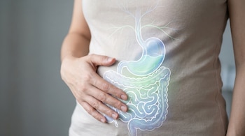 Torso de persona con mano sobre abdomen, que muestra una superposición digital de estómago, intestinos y líneas neuronales sobre la piel, con fondo gris claro.