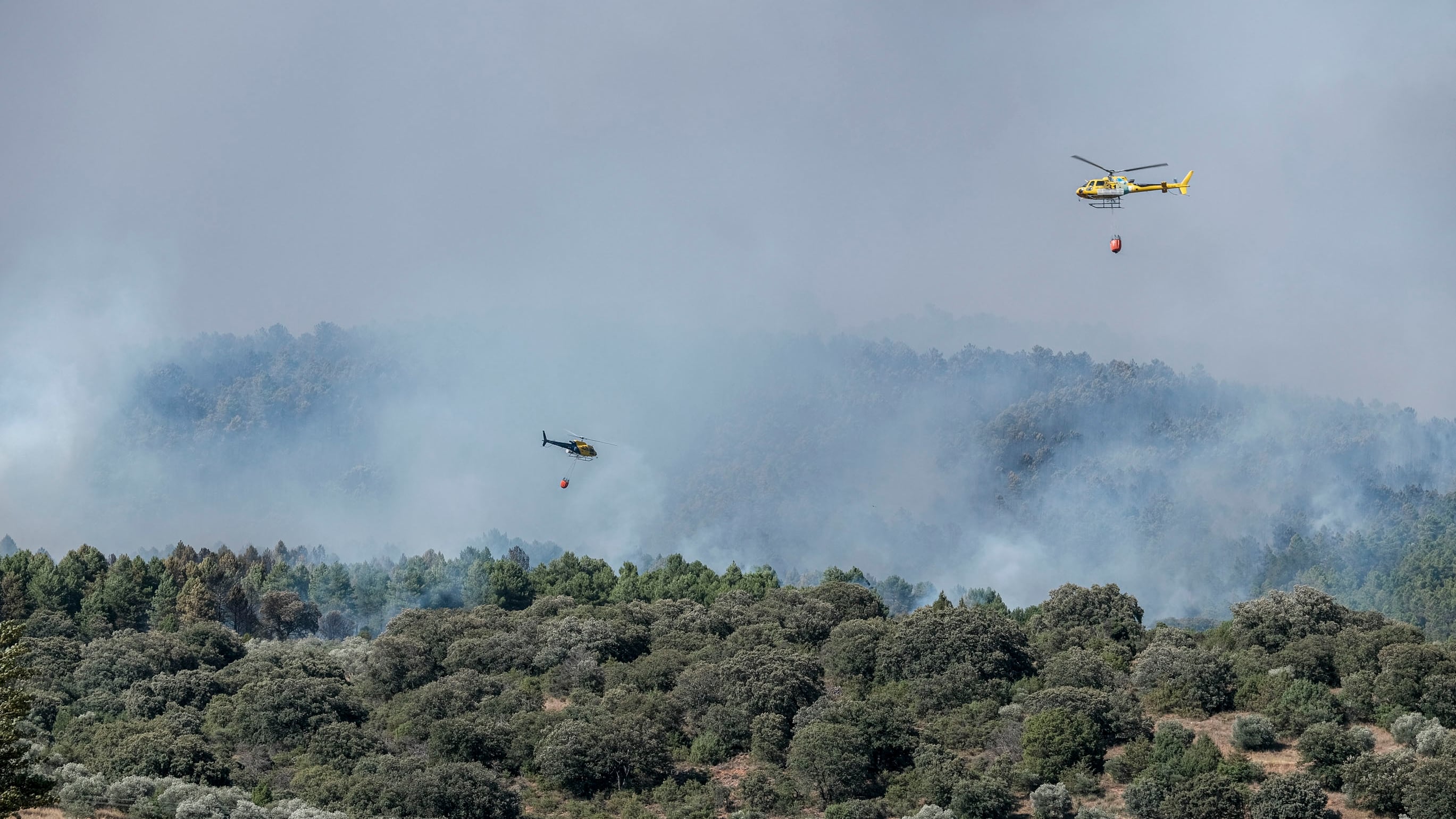 Tres pueblos evacuados y dos confinados por un incendio en La Mierla (Guadalajara): el fuego afecta ya a más de 900 hectáreas