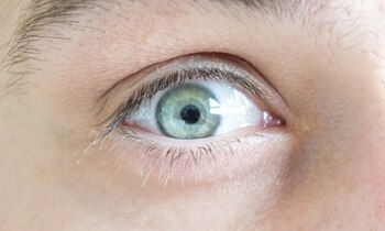 La piel, pelo, y ojos claros son relativamente recientes (PxHere)