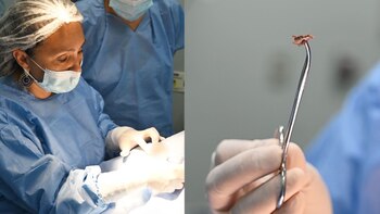 Niño convivió un año con