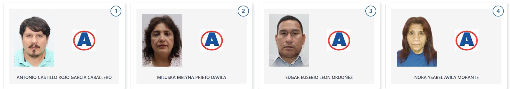 Candidatos a la Cámara de Diputados de Alianza Para el Progreso (Voto Informado - JNE)