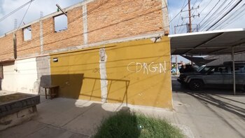 La “veterinaria de la muerte”