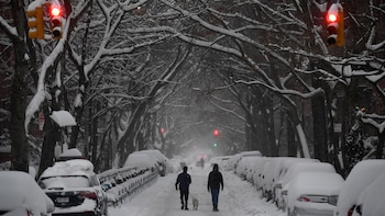 ¿Adiós a los paisajes blancos?