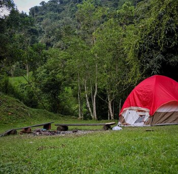 La personas que deseen prolongar