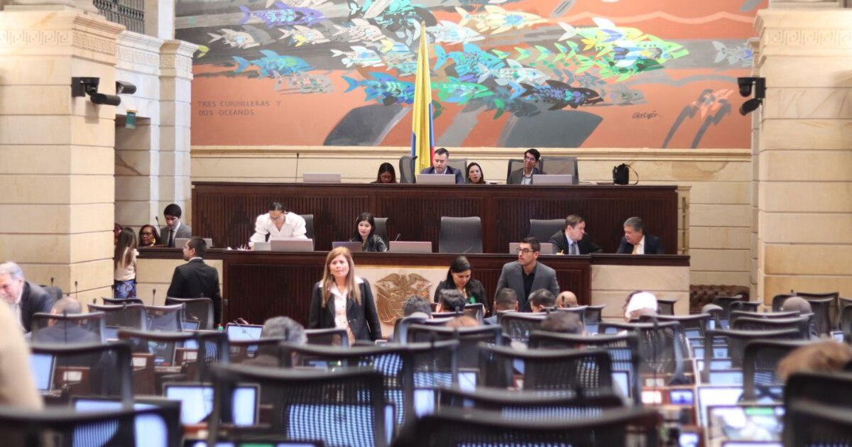 Reforma a la salud en punto muerto: congresistas piden posponer discusión hasta 2025