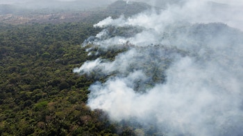 La NASA advirtió sobre el avance de los incendios en la Amazonía: cómo impacta El Niño