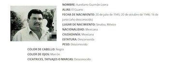 Este es el historial criminal de "El Guano" Guzmán, criminal ligado a una supuesta reunión con una figura de la 4T. Captura de pantalla