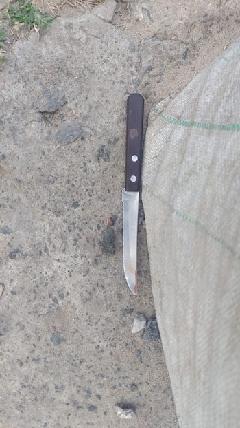 El arma homicida que incautó