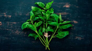 La albahaca no solo es