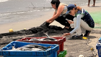 La Fiscalía Ambiental del Santa