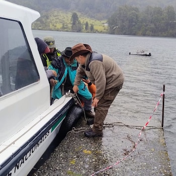 Desplegaron un operativo para rescatar a un poblador de 100 años que vive frente al volcán Lanin