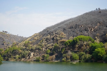 Vista del incendio en el pantano de San Juan, en la localidad madrileña de Pelayos de la Presa. (EFE/Nahia Peciña)
